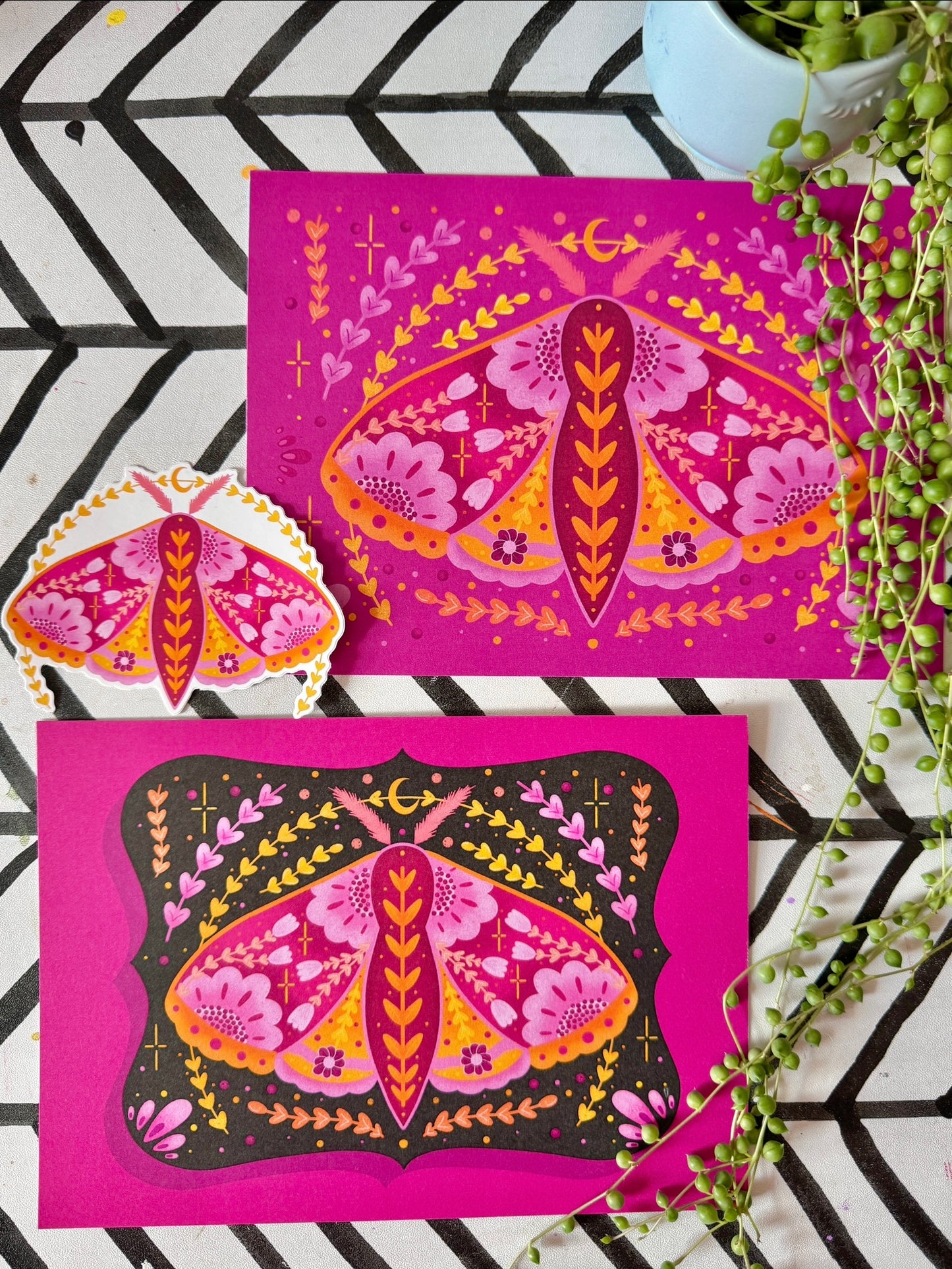 Pink Moth Bundle